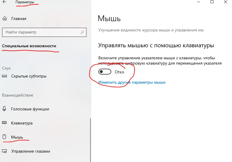 Снимок.webp