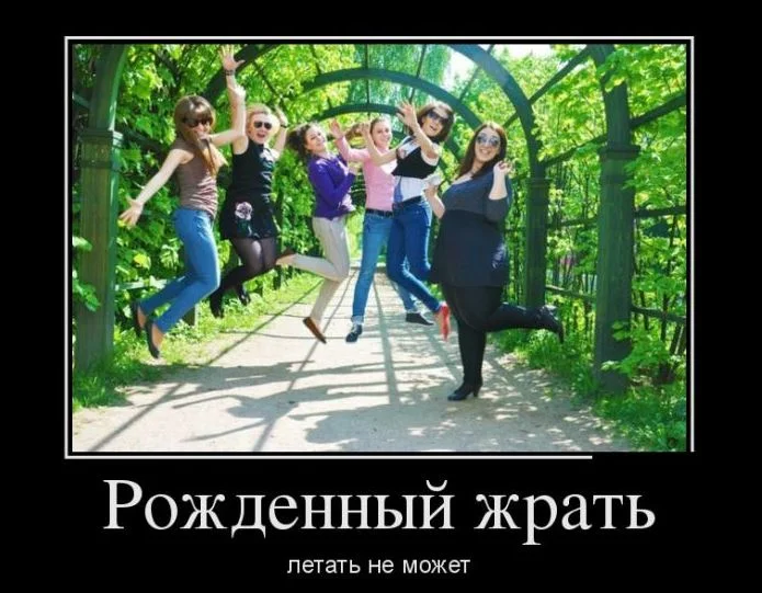 Снимок.webp
