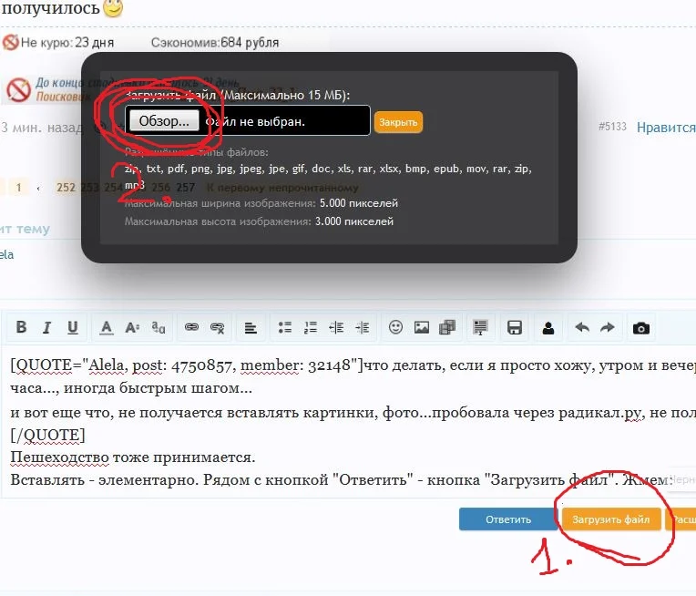 Снимок.webp