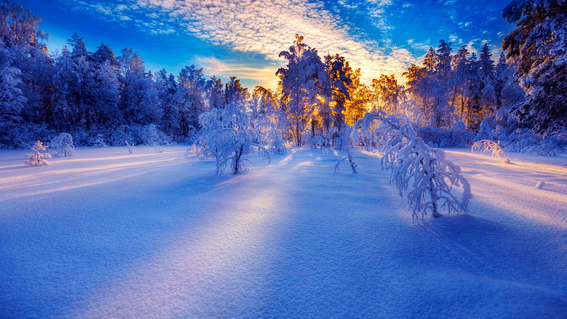 snow-sunrise_050034984.jpg