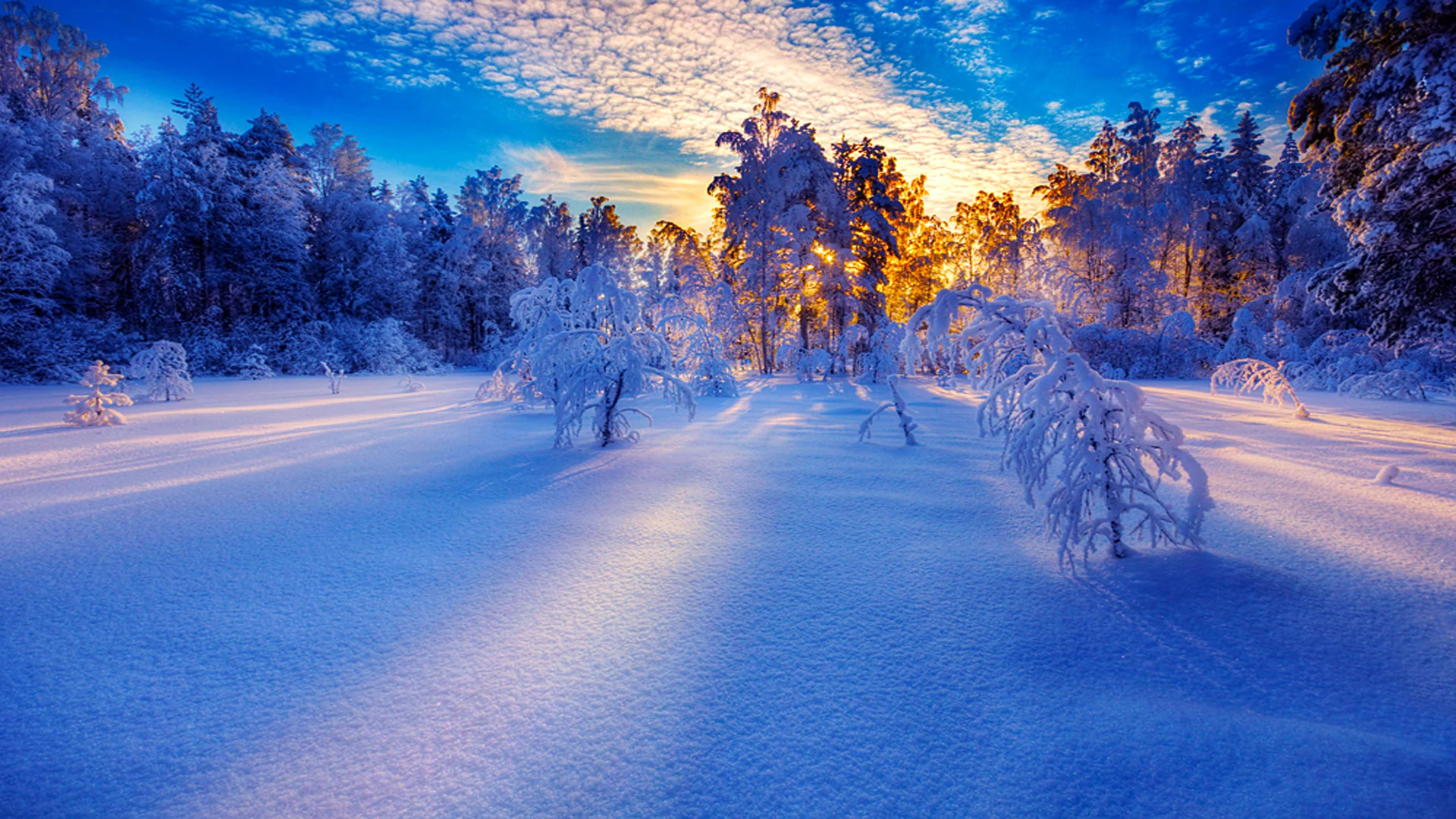 snow-sunrise_050034984.webp