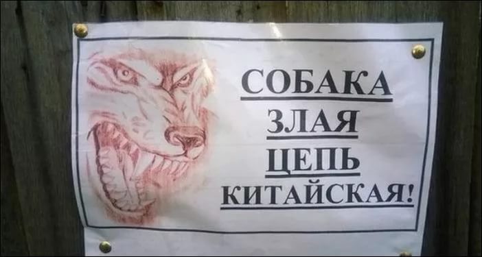 собака.jpg