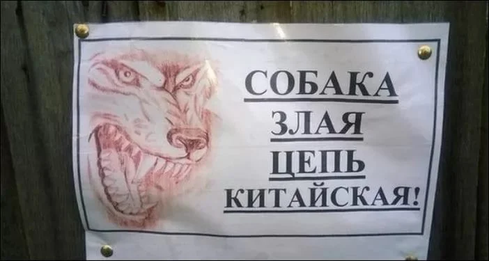 собака.webp