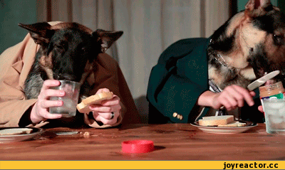 собаки-гифки-садитесь-жрать-пожалуйсто-648155 (1).gif