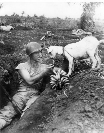 Солдат делится бананами с козой. Битва за Сайпан, 1944..jpg