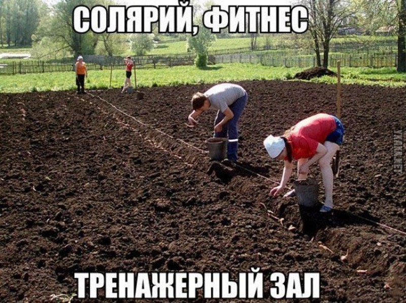 солярий фитнес тренажерный зал.jpg