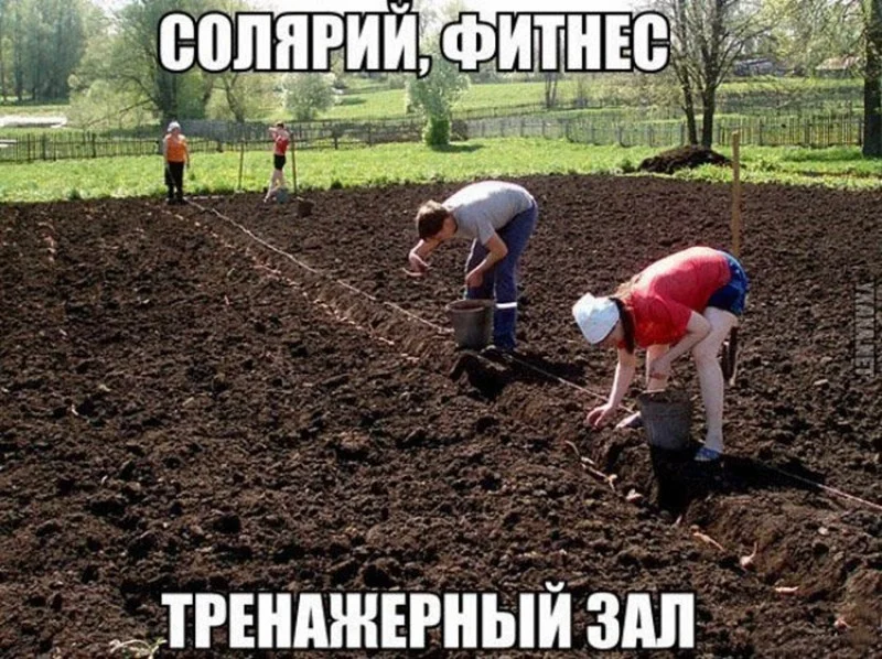 солярий фитнес тренажерный зал.webp