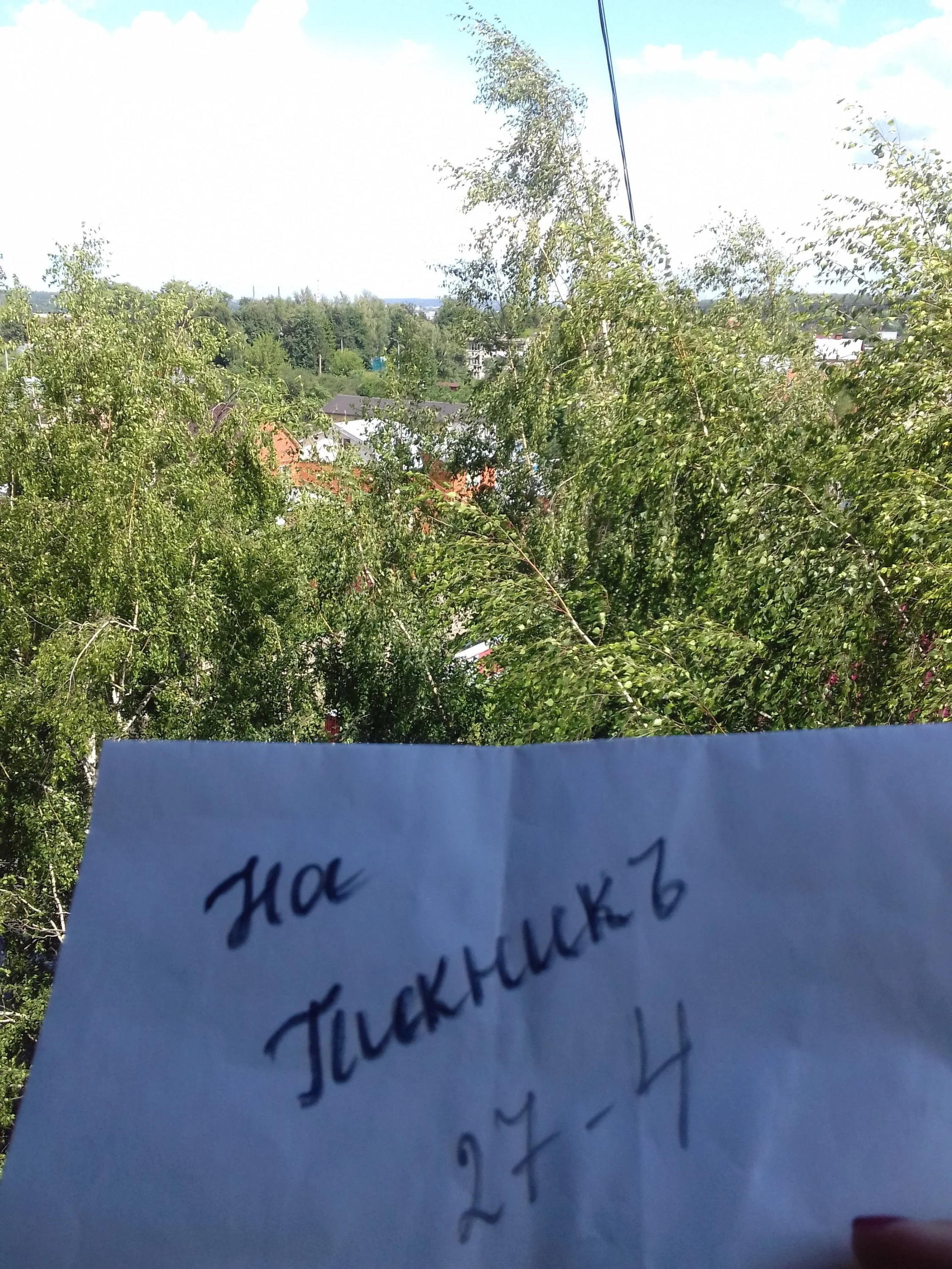 солнечное лето 1.webp