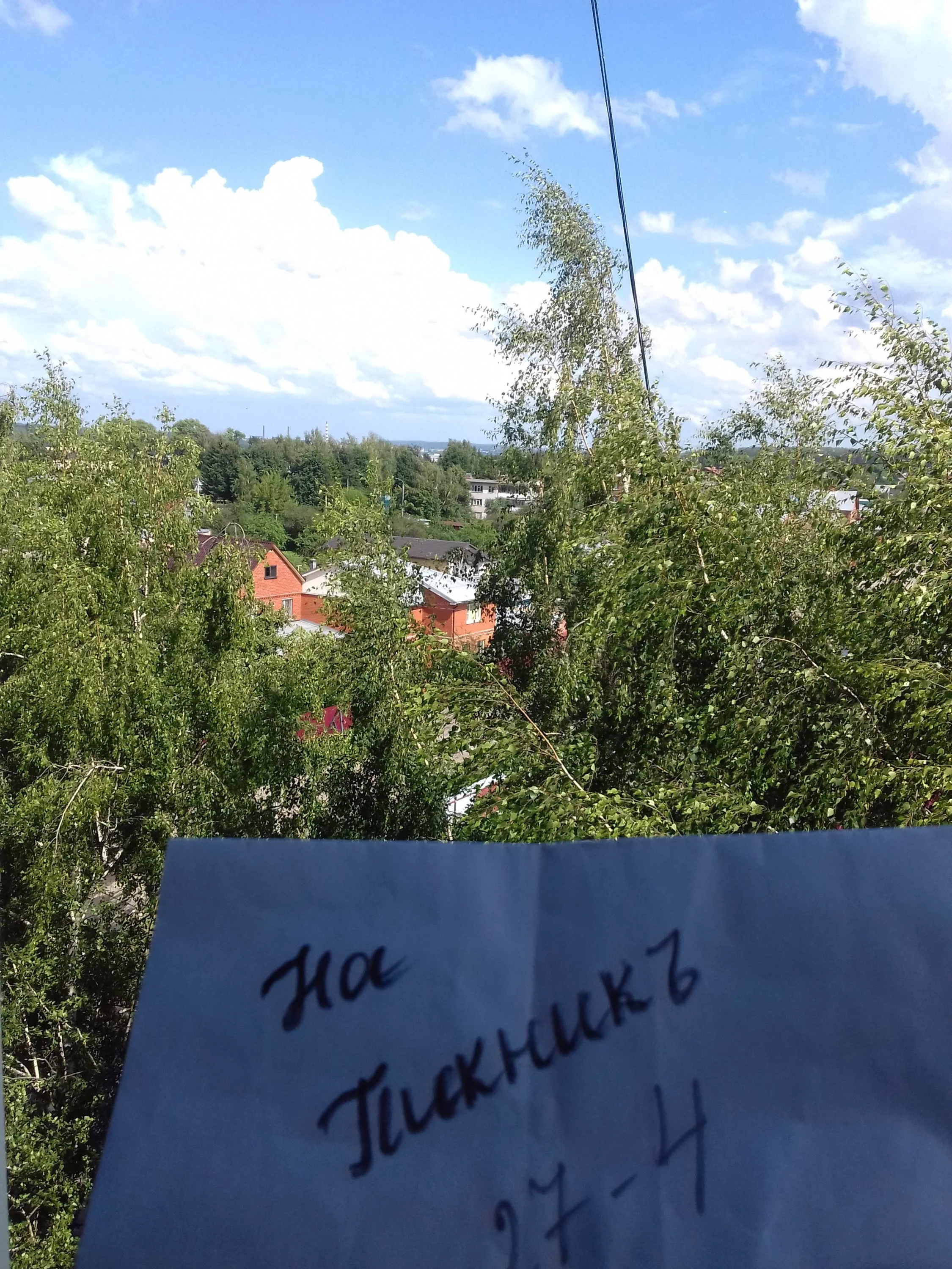 солнечное лето 2.webp