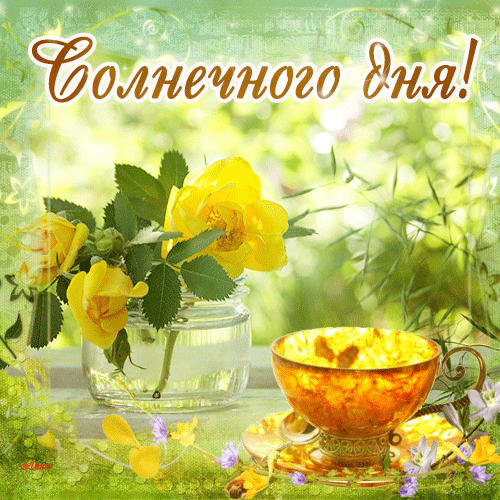 солнечного дня.gif