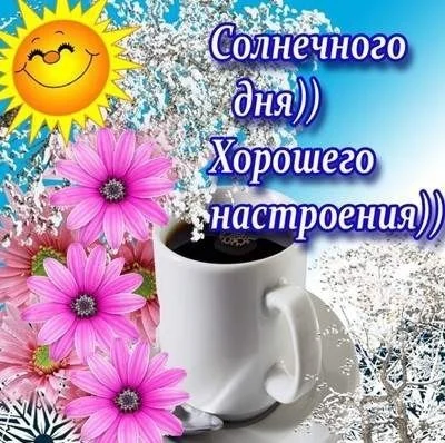 solnechnogo-dnya-xoroshego-nastroeniya.webp