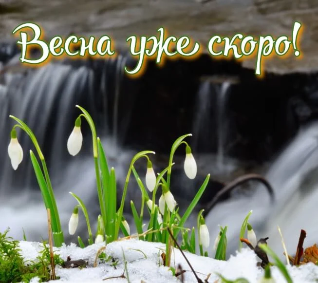 soon_spring_10.webp
