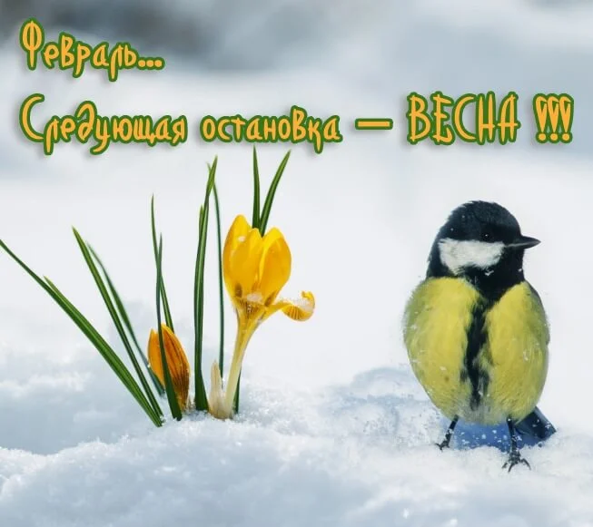 soon_spring_5 (1).webp