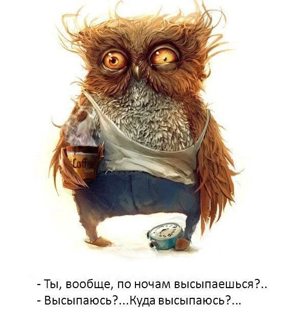 сов.webp