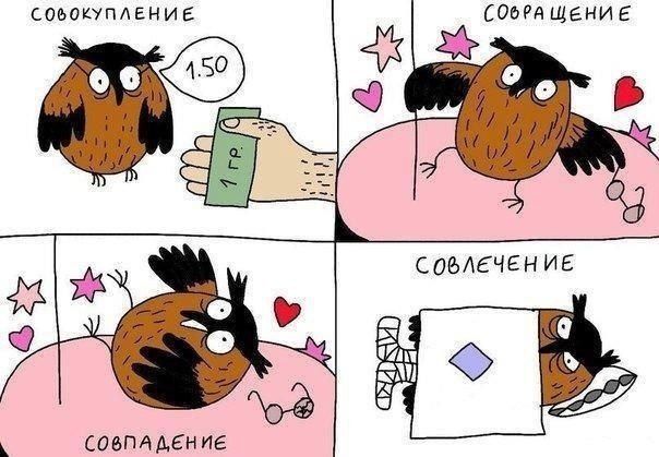 сова.jpg