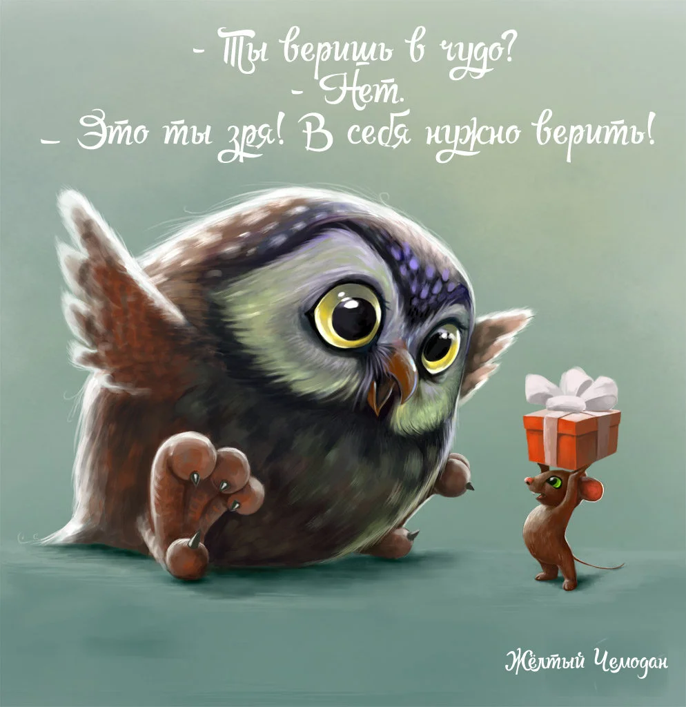 сова.webp