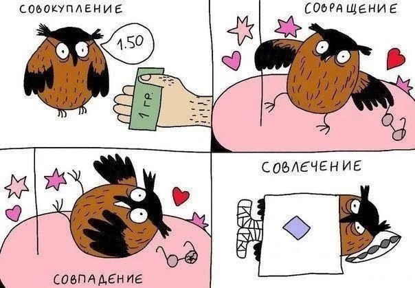 сова.webp