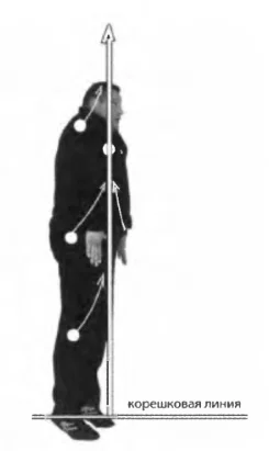 Сохраненное изображение 2019-9-5_16-9-14.142.webp