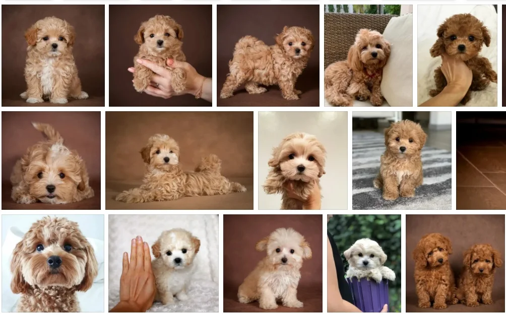 Сохраненное изображение 2022-2-13_13-34-34.201.webp