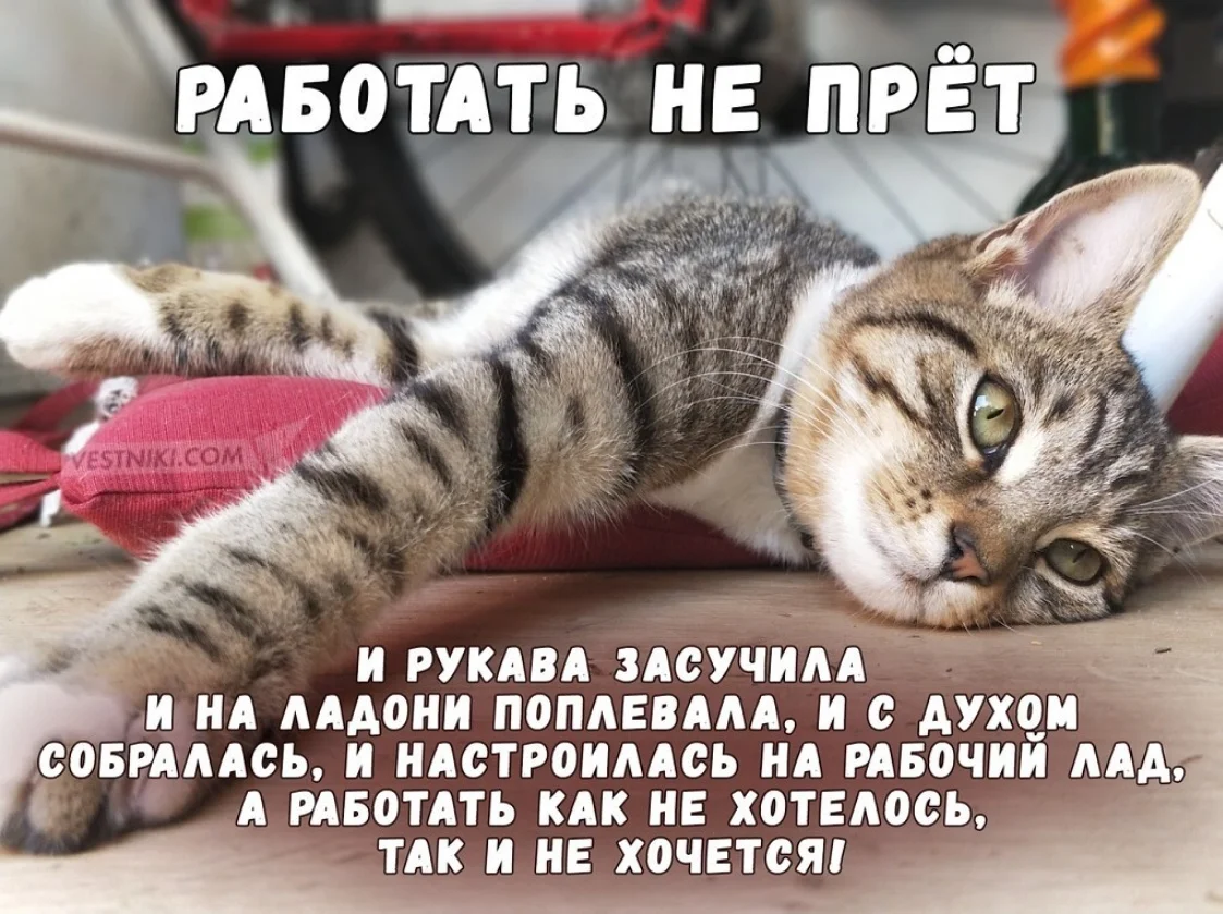 Сохраненное изображение 2022-2-21_23-10-49.825.webp