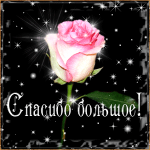 spasibo-17.gif