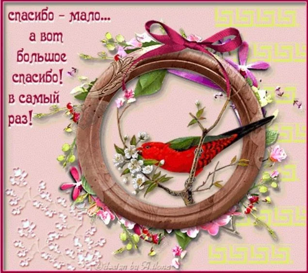 спасибо 6.webp