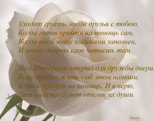 спасибо друзьям.webp