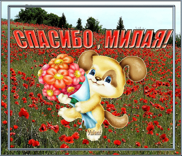 spasibo-milaya.gif