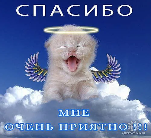 Спасибо мне очень приятно.webp