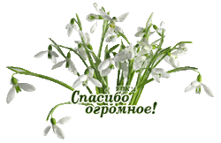 СПАСИБО ОГРОМНОЕ!!!1.gif