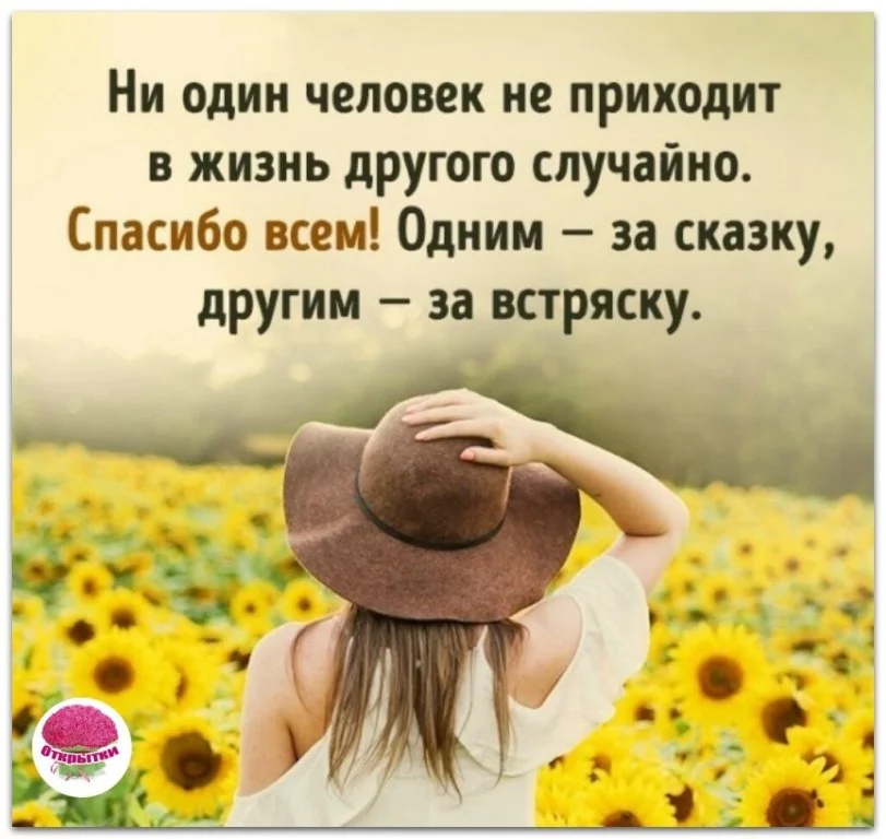 Спасибо всем.webp