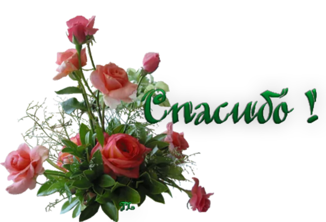 Спасибо.webp