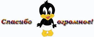 Спасибо.webp