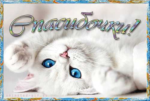спасибочки.gif