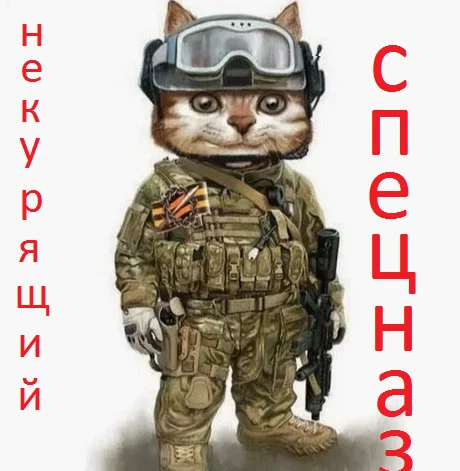 спец1.webp