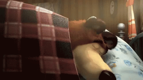 спишь чтоли.gif