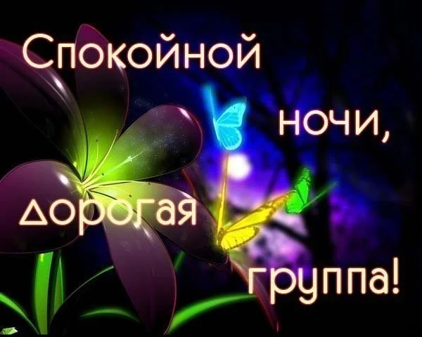 спок нок группа.webp