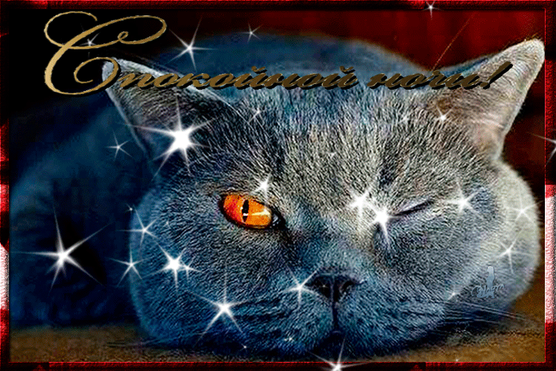 спокойной ночи.gif