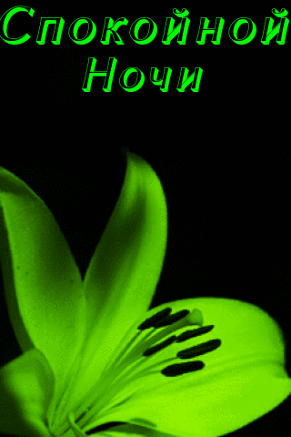спокойной-ночи.gif