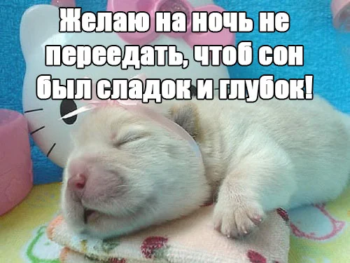 Спокойной-ночи-картинки-прикольные-и-смешные-с-надписями-10.webp