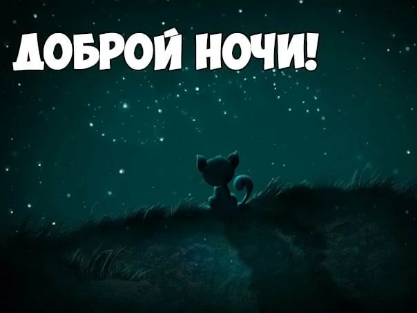 Спокойной-ночи-картинки-прикольные-смешные-красивые-11.webp
