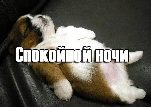 Спокойной-ночи-картинки-прикольные-смешные-скачать-бесплатно-4.webp