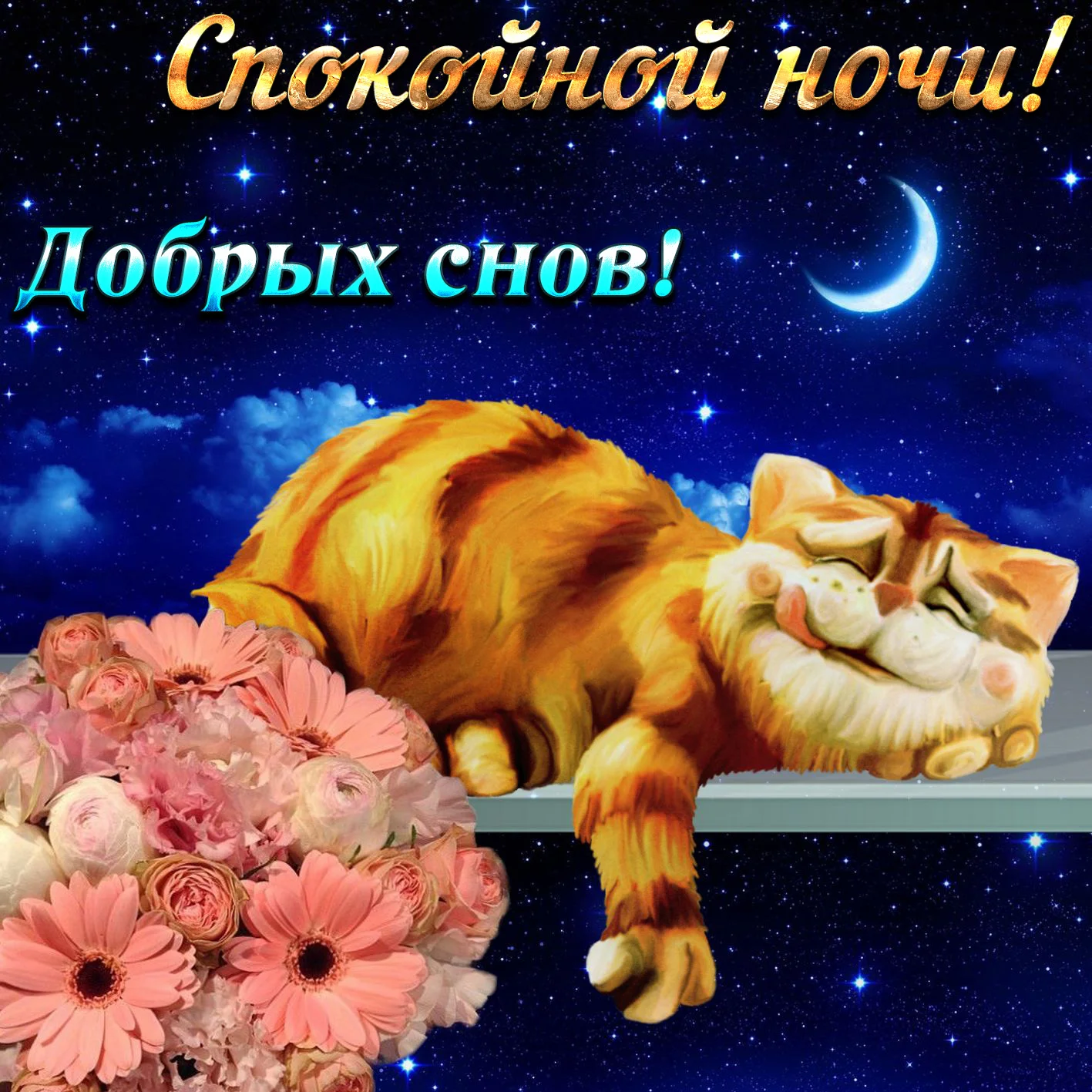 спокойной ночи.webp