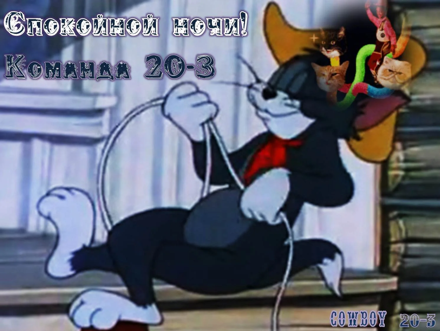 спокойной ночи.webp