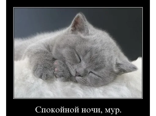 спокойной ночи.webp