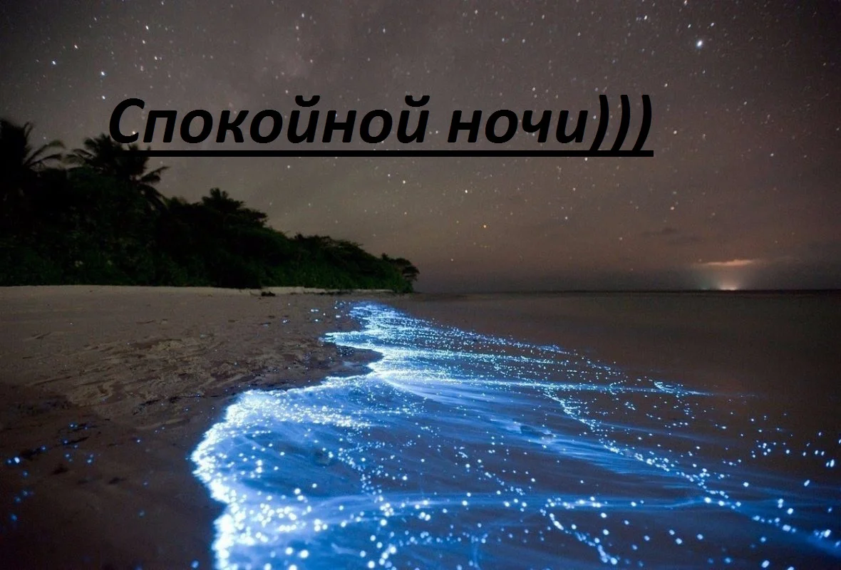 спокойной ночи1.webp