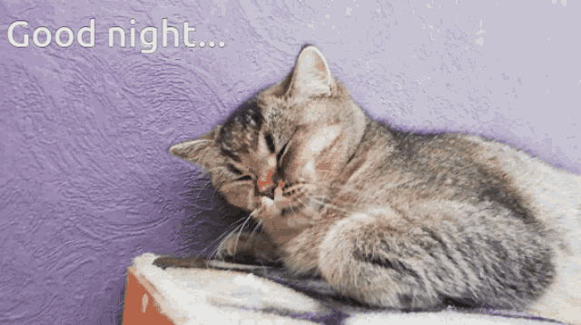 спокойнойночи-спать.gif