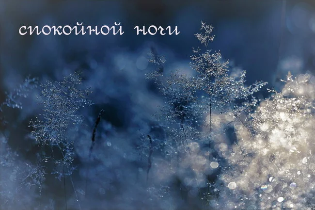 spokojnoj-nochi-zima-kartinki-3.webp