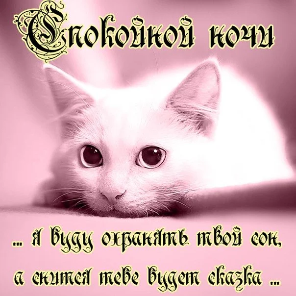 spokojnoj_nochi_ljubimoj.webp