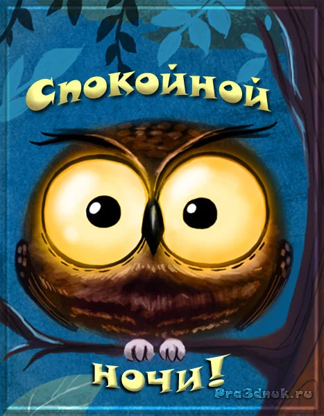 spokojnoj_nochi_sova.webp